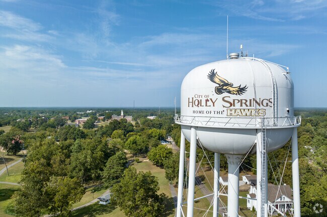 The water tower in Holly Springs shows off hometown spirit.