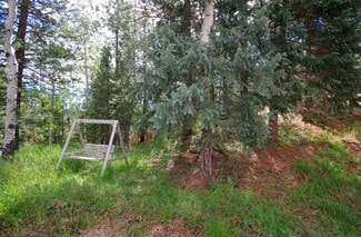 1321 W Browning Ave, Woodland Park, CO 80863