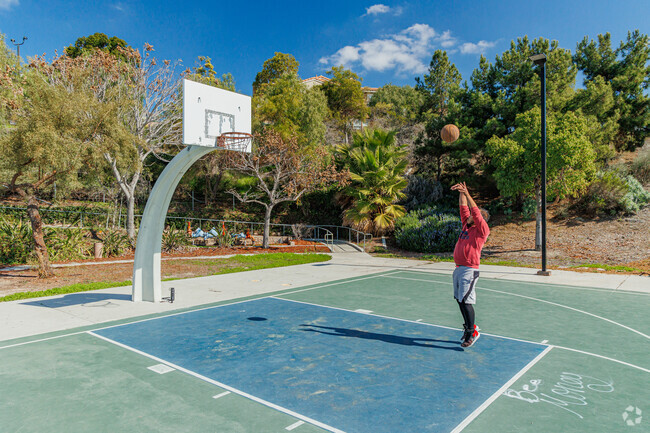 Veterans Park features basketball courts and other sports equipment.