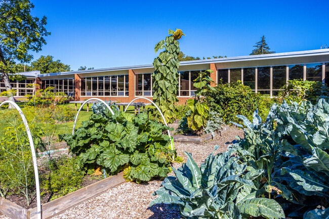 Moore Elementary community garden