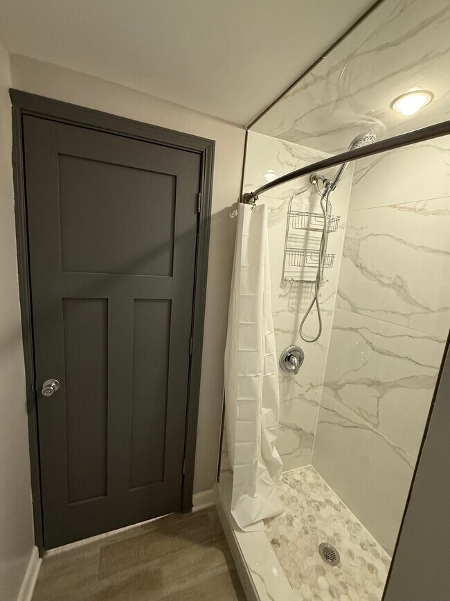 2223 S Troy St unit BR, Chicago, IL 60623 - photo 6