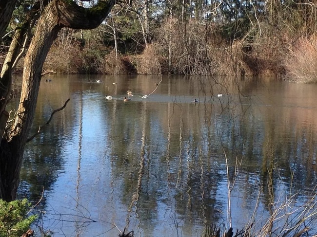 4436 Alderbury St, Eugene, OR 97402 - photo 7