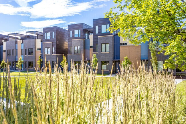 Many townhomes have grassy area and walking paths in East Village.