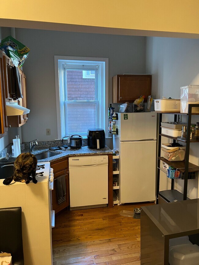 1219 Commonwealth Ave unit 4, Boston, MA 02134 - photo 5