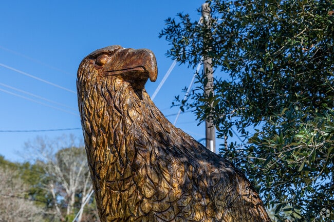 This eagle was carved out of a dying oak tree that still sits in the Zachary downtown area.