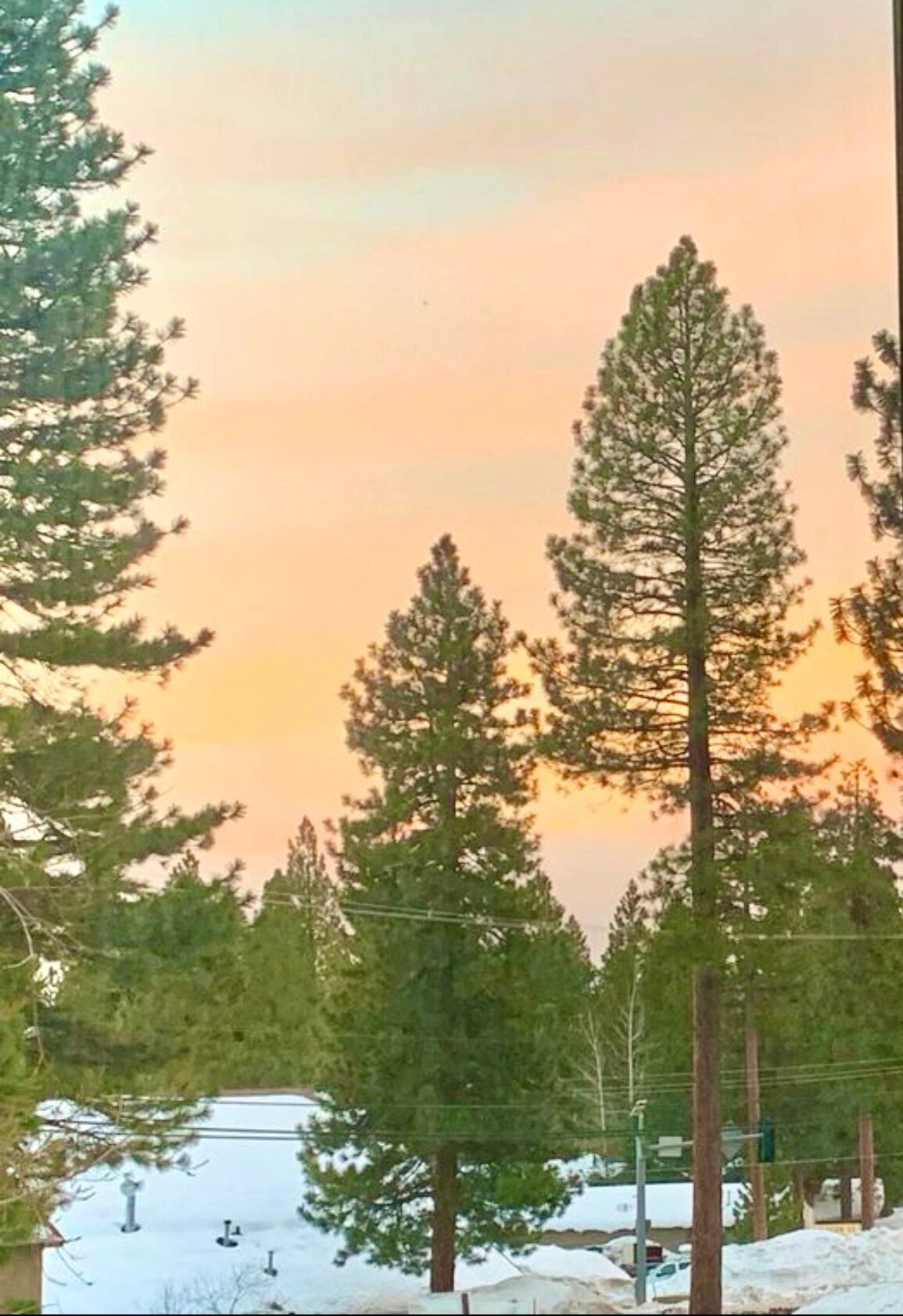 872 Tanager St unit 872 Tanager, Incline Village, NV 89451 - photo 1