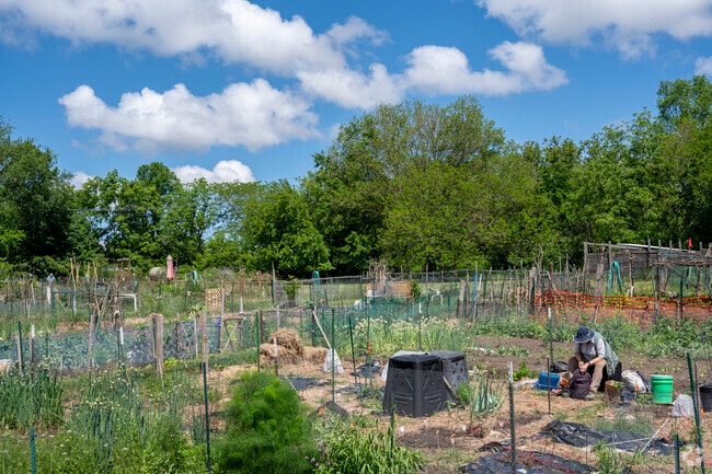 The Troy Community Gardens in Lerdahl Park are a place for neighbors to gather.