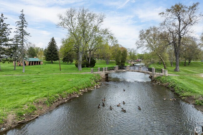 Wild life is abundant at Water Works Park on Nimishillen Creek.