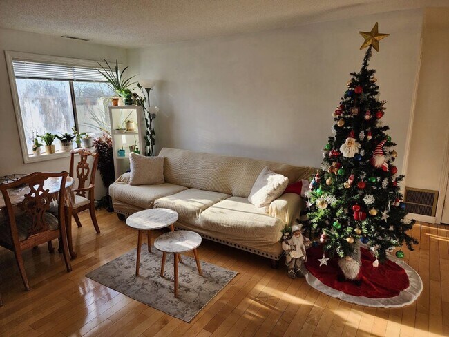 100 E Meadow Rd unit 4, Lowell, MA 01854 - photo 3