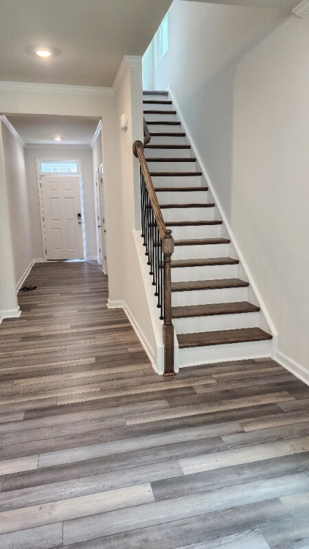 1520 Foal Run Trail, Wake Forest, NC 27587