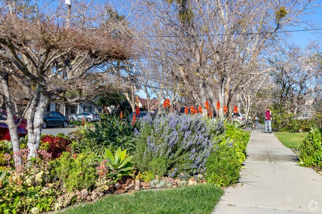 Hyde Park’s residential streets are lined with mature trees and well-maintained sidewalks.