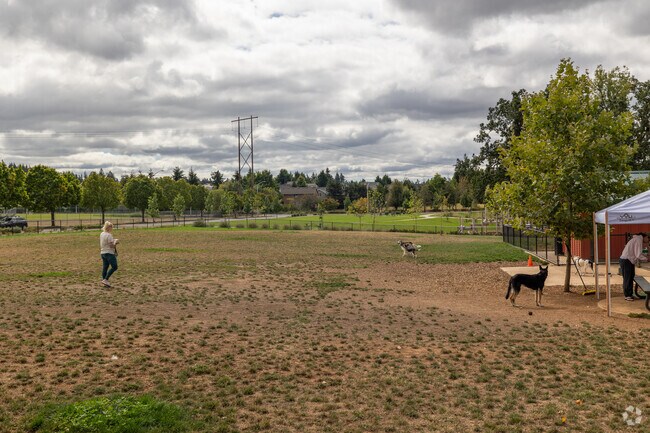 Open dog park at Tyrone S. Woods Park near Gaffney Lane provides ample space for pets to run fre