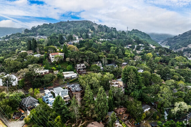 Nestled close to Orinda’s vibrant center, Oak Springs is a tranquil haven.