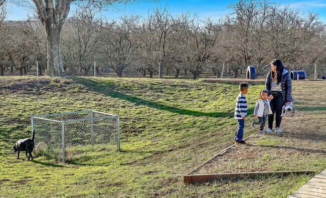 The City of Patterson's Dog Park is a inclosed area for your pets.