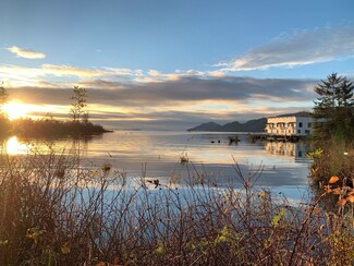 957 Steamboat Slough Rd Unit 3 Undine, Skamokawa, WA 98647