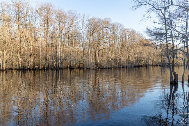 Possibilities for paddling on this 115-mile river are extraordinary at the Lumber River State Park near Lumberton.