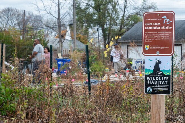 Rescue Michigan Nature has become a place of interest to many Nolan locals,