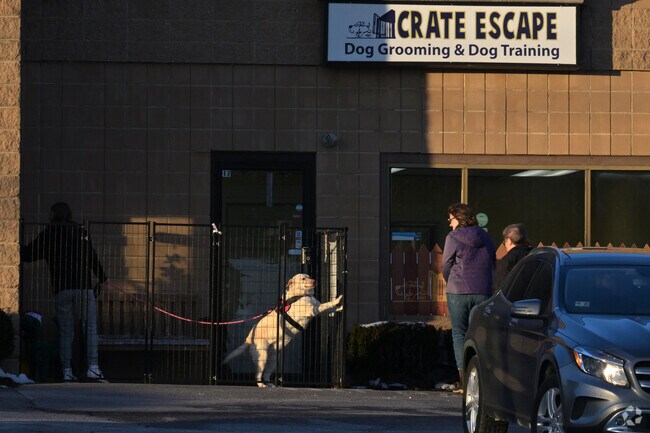 Pet boarding is a wonderful service and it is always exciting to see your owner at Crate Escape.