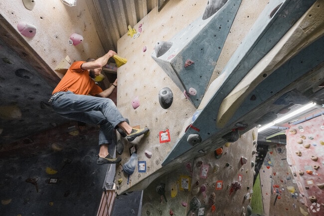 Petra Cliffs Climbing Center is a popular indoor workout spot in South Burlington.