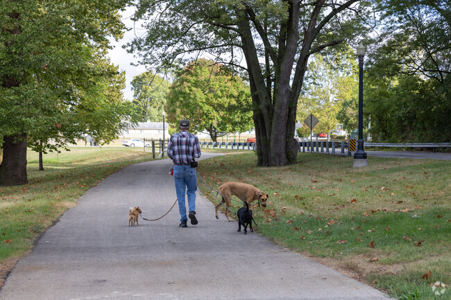Take your pups for a walk in Riverview Park in Whitely.