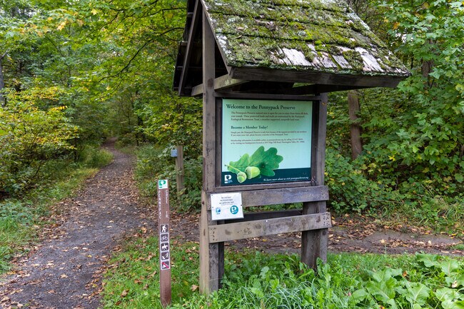 Take a walk through the Pennypack Trust Nature Preserve in Upper Moreland.