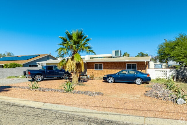 Desert landscaping is favored in lieu of traditional grass lawns in Colonia Del Valle.