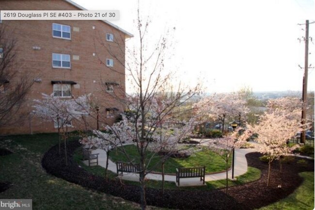 2617 Douglass Place SE unit 303, Washington, DC 20020 - photo 3