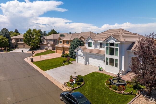 Lone Tree is a prosperous suburban area with lots of large homes in southeast Denver.