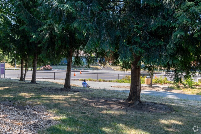 A dog and their owner relax under a tree on NE 88th St in Northeast Hazel Dell.
