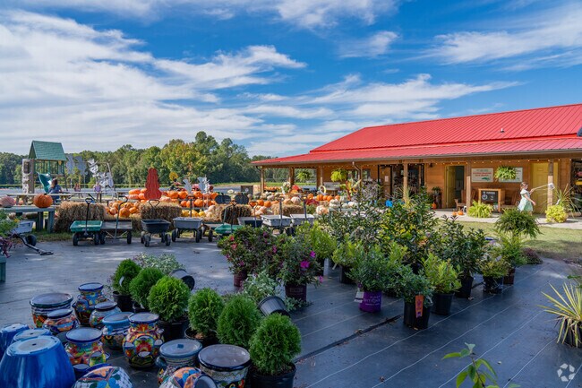 Pleasant Grove features a number of well supported local farm markets.