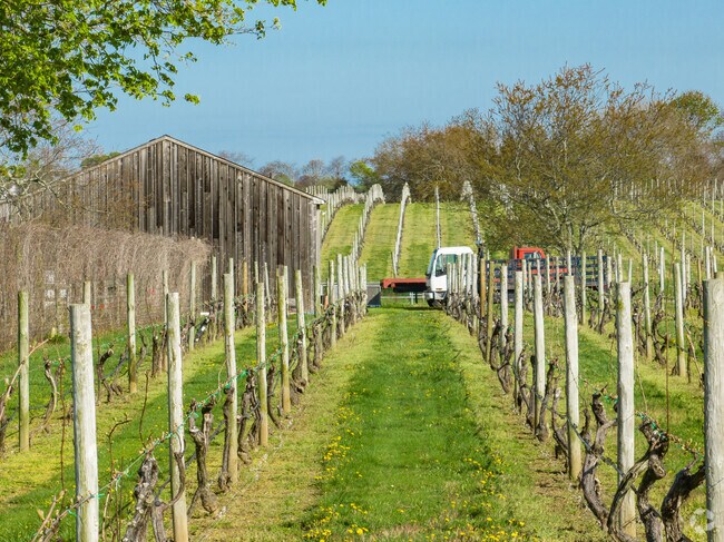 Pellegrini Vineyards produces an award-winning range of wines near Nassau Point.