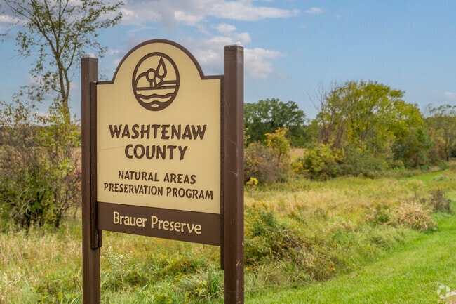 Venture through the woods at the Brauer Preserve in Lodi Township.