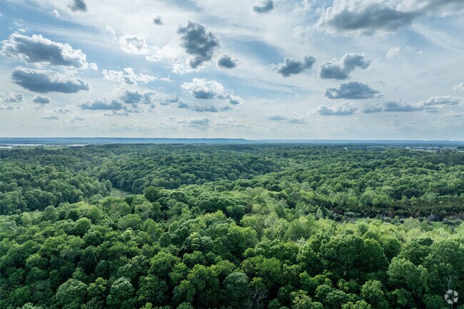 There's plenty of green space and tree canopy in Charlestown and its environs.