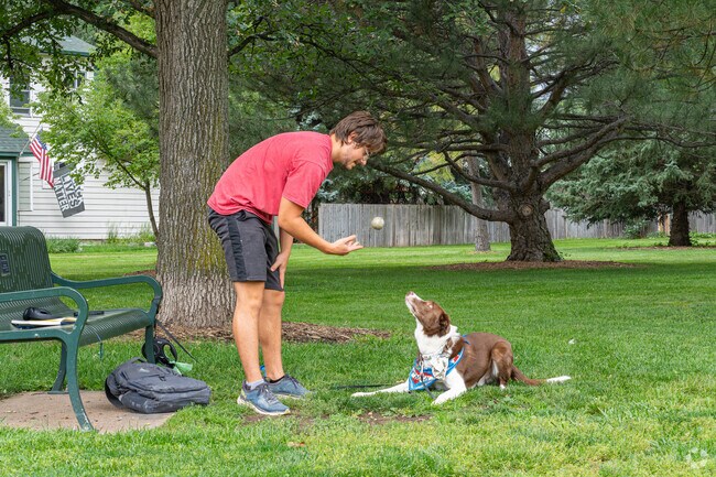 A Fort Collins resident enjoys his time playing catch with his furry friend at Rogers Park.