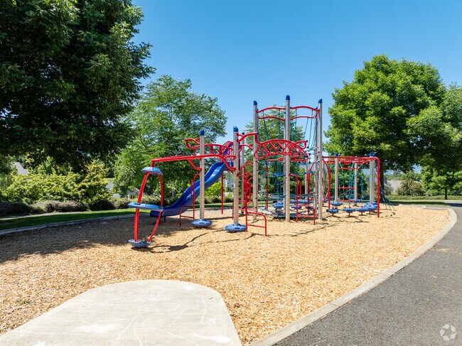 Summerfield Park is nestled in between homes in the local neighborhood.