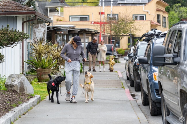 Downtown Bolinas is a great place to see people and get some shopping done.
