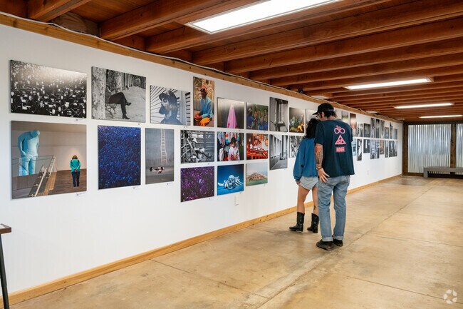 Thin Line Festival in Downton Denton showcases artwork from around Denton.