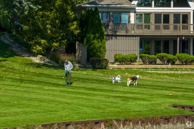 A resident of West Shore Park walks his dogs and enjoys the outdoors.
