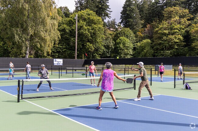 John Null Parkl features pickle courts in Northlake-Corman