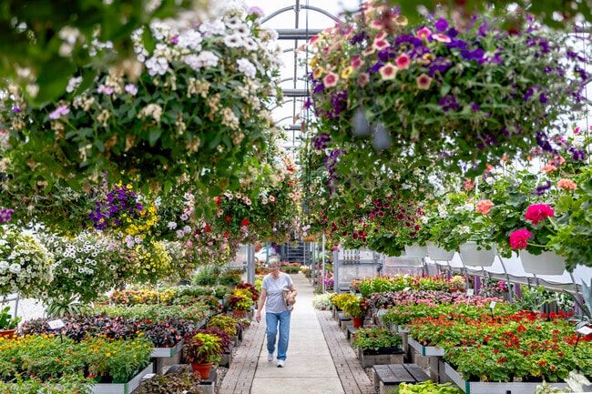 Greenhouses at The Produce Station have flowers of every color of the rainbow for sale.