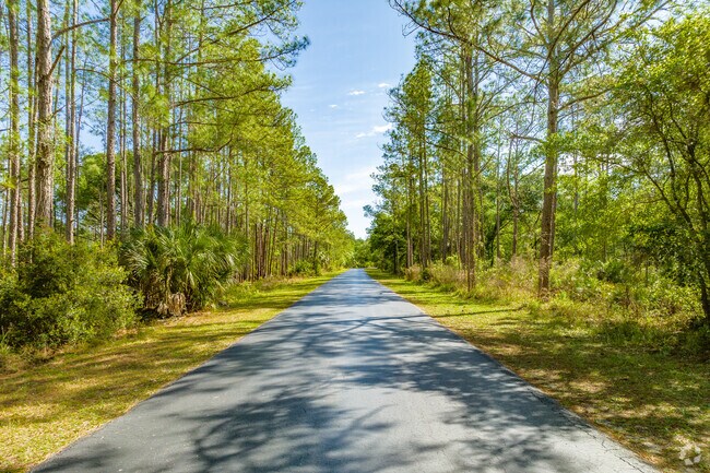 Flatwoods Park has a seven-mile paved loop that provides a pleasant wooded experience with abundant wildlife near Hunters Green.
