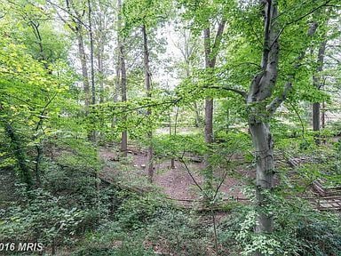 4140 41st St N, Arlington, VA 22207 - photo 4