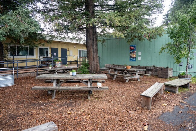 Live Oak Charter School offers a space where all people can learn and thrive.