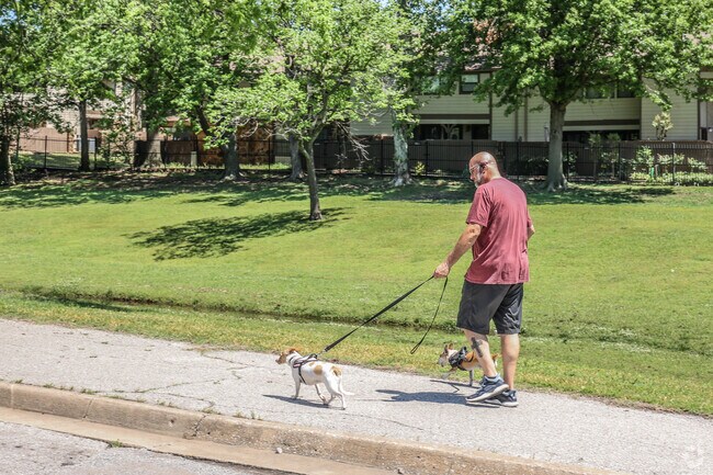 Take the dogs for a walk at Adams Park in Shadow Mountain.