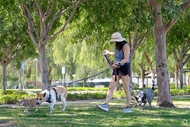 Arlington South residents can head over to the nearby Arlington Sports Park to walk the pups.