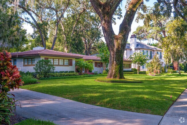 Mature trees highlight the historic streetscape of this row of homes.