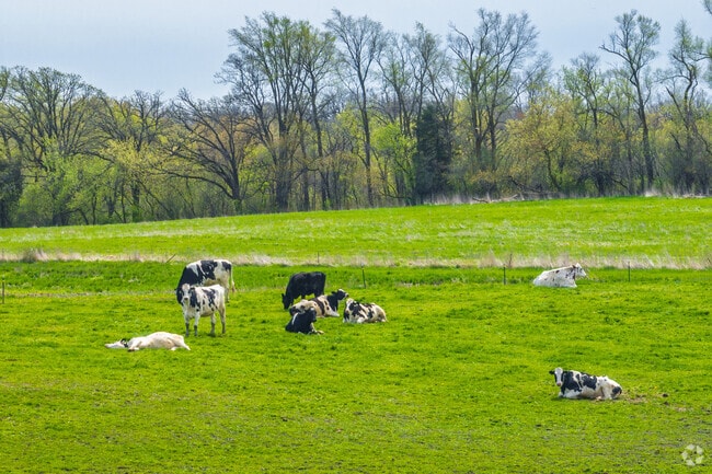 Brighton’s farmland supports dairy cows and other livestock across wide open fields.