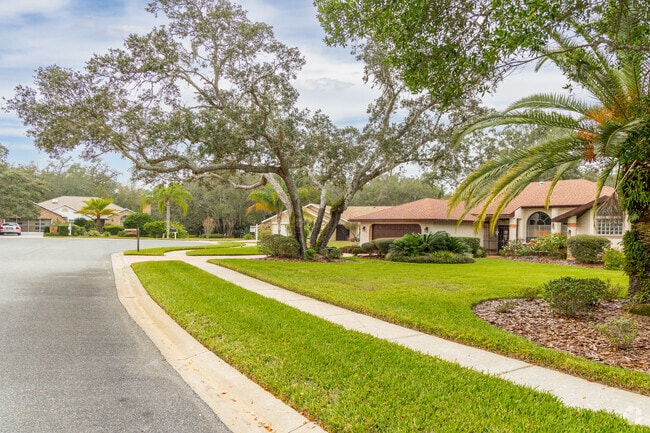 Manicured yards with large shade trees are plentiful in Shady Hills.