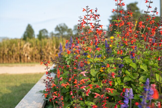 Green Acres has plenty of choices and is located 5 minutes from Birmingham Alabama.