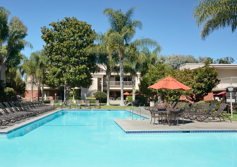 Pool and sundeck